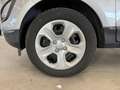 Ford EcoSport 1.0 ecoboost Business s&s 125cv auto my19 Argento - thumbnail 15