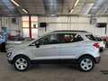 Ford EcoSport 1.0 ecoboost Business s&s 125cv auto my19 Argento - thumbnail 3