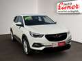 Opel Grandland X 1.5 D Edition AUT DynLicht Kam. LED Weiß - thumbnail 17