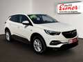 Opel Grandland X 1.5 D Edition AUT DynLicht Kam. LED Weiß - thumbnail 16