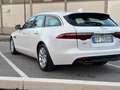 Jaguar XF Sportbrake 2.0d Pure Business 180cv Bianco - thumbnail 11