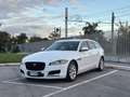 Jaguar XF Sportbrake 2.0d Pure Business 180cv Bianco - thumbnail 1