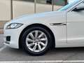 Jaguar XF Sportbrake 2.0d Pure Business 180cv Bianco - thumbnail 4