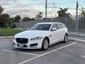 Jaguar XF Sportbrake 2.0d Pure Business 180cv Bianco - thumbnail 2
