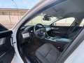 Jaguar XF Sportbrake 2.0d Pure Business 180cv Bianco - thumbnail 7