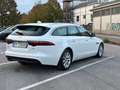 Jaguar XF Sportbrake 2.0d Pure Business 180cv Bianco - thumbnail 13