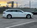 Jaguar XF Sportbrake 2.0d Pure Business 180cv Bianco - thumbnail 14