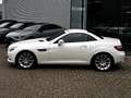 Mercedes-Benz SLK 350 AMG line Blanc - thumbnail 4