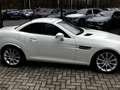 Mercedes-Benz SLK 350 AMG line Blanc - thumbnail 14