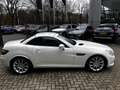 Mercedes-Benz SLK 350 AMG line Blanc - thumbnail 6