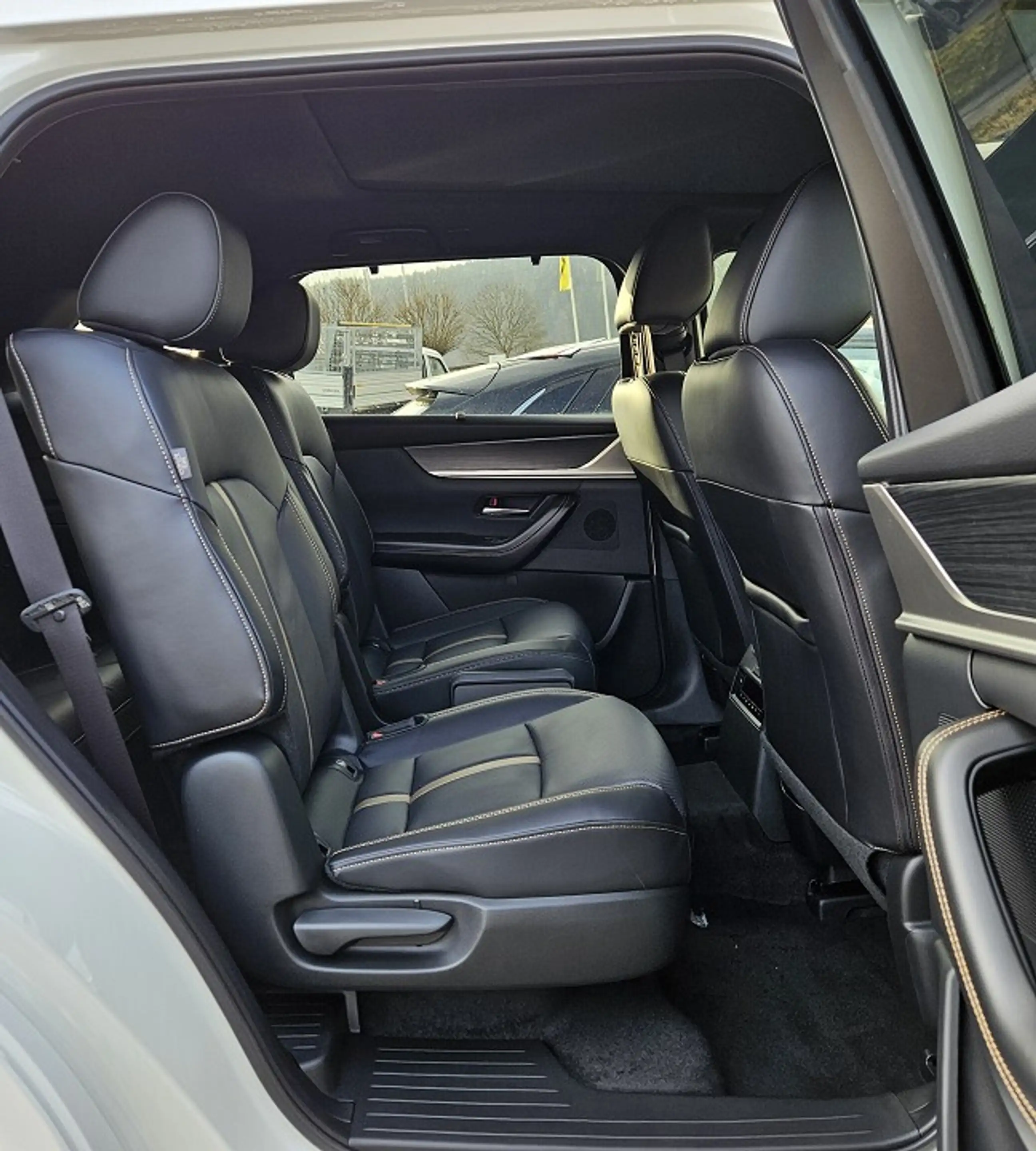Mazda CX-80 2.5 e-SKYACTIV PHEV Homura Plus 6-SITZER — photo 10