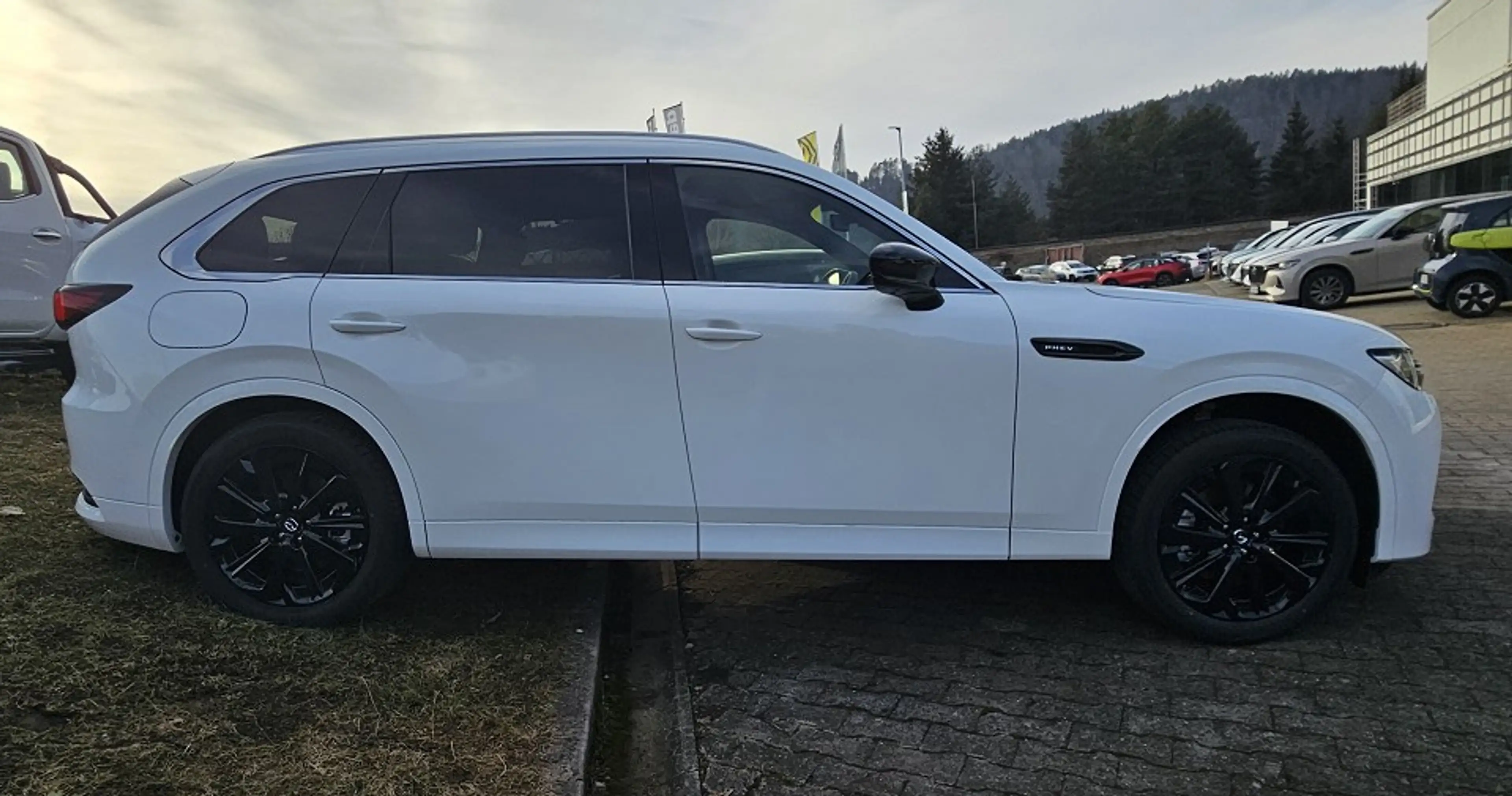 Mazda CX-80 2.5 e-SKYACTIV PHEV Homura Plus 6-SITZER — photo 4