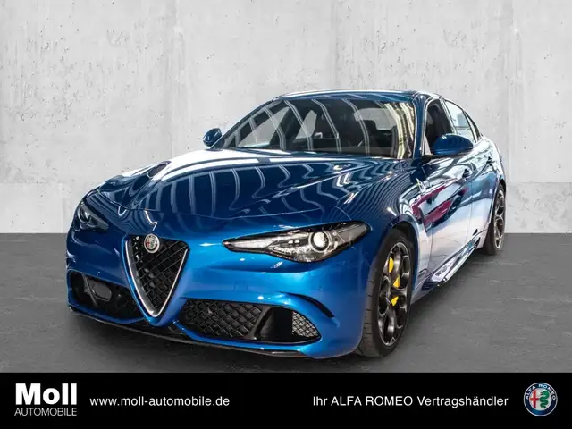 Alfa Romeo Giulia Quadrifoglio Leder/Alcantara HARMAN/KARDON ACC elk