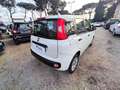 Fiat Panda 1.2cc 69cv CLIMA STEREO White - thumbnail 6