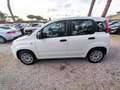 Fiat Panda 1.2cc 69cv CLIMA STEREO White - thumbnail 8