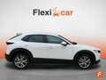 Mazda CX-30 e-SKYACTIV-G 2.0 90 kW 2WD Evolution Blanco - thumbnail 11