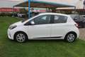 Toyota Yaris 1.5 Hybrid 5 porte Active Bianco - thumbnail 3