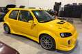 Peugeot 106 GTI widebody, 178PK DTA ECU THROTTLE BODIES NOS (l Gelb - thumbnail 6
