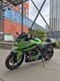Kawasaki Ninja 250 R Groen - thumbnail 2