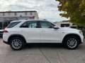 Mercedes-Benz GLE 350 e 4Matic AUT~Leder~Ambien~Kam~AHK~WR Blanc - thumbnail 6