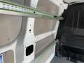 Ford Transit Custom 2.0 EcoB. 320 L1 Trend LED Holzvkl Blanc - thumbnail 18