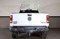 Dodge RAM 3.0 LimitedLonghorn CrewCab/360*/ACC/PANO/R20 Weiß - thumbnail 5