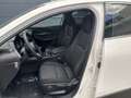 Mazda CX-30 Homura 140 Metallic Blanc - thumbnail 12