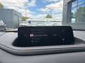 Mazda CX-30 Homura 140 Metallic Blanc - thumbnail 15