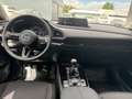 Mazda CX-30 Homura 140 Metallic Blanc - thumbnail 10