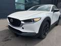 Mazda CX-30 Homura 140 Metallic Blanc - thumbnail 7