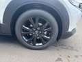 Mazda CX-30 Homura 140 Metallic Blanc - thumbnail 6