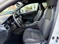 Toyota C-HR 125H Advance Blanco - thumbnail 14