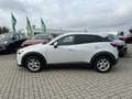 Mazda CX-3 L SKYACTIV-G 120 FWD 5T 6GS AL-EXCLUSIVE NAV Blanc - thumbnail 4
