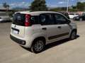 Fiat Panda Panda III 2016 1.2 Lounge 69cv Beige - thumbnail 5