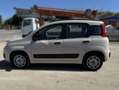 Fiat Panda Panda III 2016 1.2 Lounge 69cv Beige - thumbnail 8