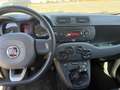 Fiat Panda Panda III 2016 1.2 Lounge 69cv Beige - thumbnail 12