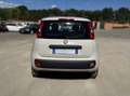 Fiat Panda Panda III 2016 1.2 Lounge 69cv Beige - thumbnail 6