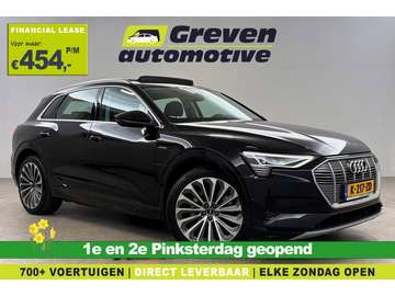55 quattro Business edition Plus 95 kWh | Snellade