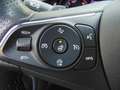 Opel Insignia B 2.0 LED+Navi+SD+SHZ+Winterp.+2xKlima Schwarz - thumbnail 18