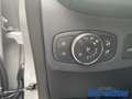 Ford Puma ST-Line Design 1.0 EcoBoost Mild Hybrid EU6 Grau - thumbnail 13