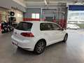 Volkswagen Golf 5p 2.0 tdi Highline Executive 150cv dsg E6 Alb - thumbnail 4