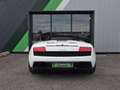 Lamborghini Gallardo 5.2 V10 LP 560-4 E-Gear Blanco - thumbnail 11