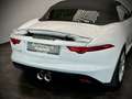 Jaguar F-Type F-TYPE Cabriolet 3.0*Bi-XENON*KAMERA*VOLL-LEDER* Bianco - thumbnail 5