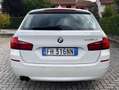 BMW 520 Serie 5 Touring 520d 190cv Bianco - thumbnail 7