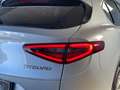 Alfa Romeo Stelvio 2.2 BUSINESS - RWD - 160CV | 2020 Gris - thumbnail 9