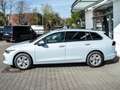 Volkswagen Golf Variant Life 1.5 l TSI OPF  6-Gang NAVI LM Azul - thumbnail 22