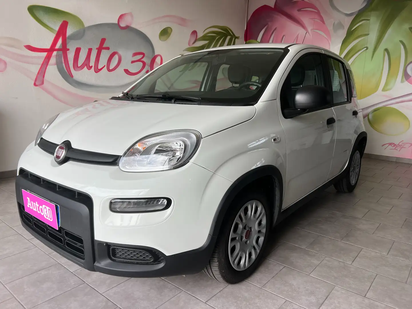 Fiat Panda Panda 2021 1.0 hybrid SENZA OBBLIGO FINANZIAMENTO Blanc - 1