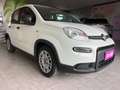 Fiat Panda Panda 2021 1.0 hybrid SENZA OBBLIGO FINANZIAMENTO Blanc - thumbnail 4
