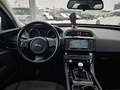 Jaguar XE E-Performance Pure Braun - thumbnail 8