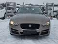 Jaguar XE E-Performance Pure Braun - thumbnail 2